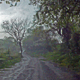 roads